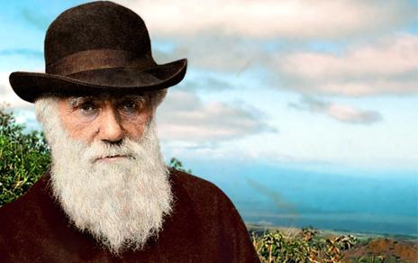 El MNCN celebrara el Día de Darwin con la reapertura de la muestra Biodiversidad y el estreno del documental Jane
