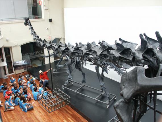 Reserva tu plaza en el Museo de Verano 2011
