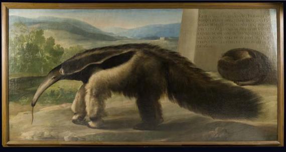 Un lienzo del MNCN podría ser obra de Francisco de Goya