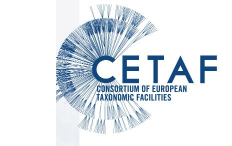 El Consorcio de Instituciones Europeas de Taxonomía (CETAF) celebra su 20 aniversario en Madrid