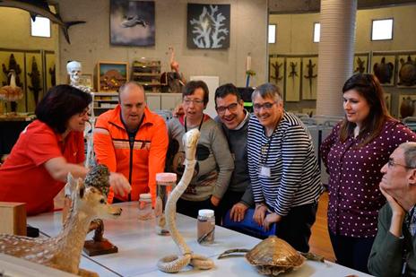 Asistentes del taller ‘Cuántos animales’, una actividad enmarcada bajo el programa de accesibilidad del museo / MNCN