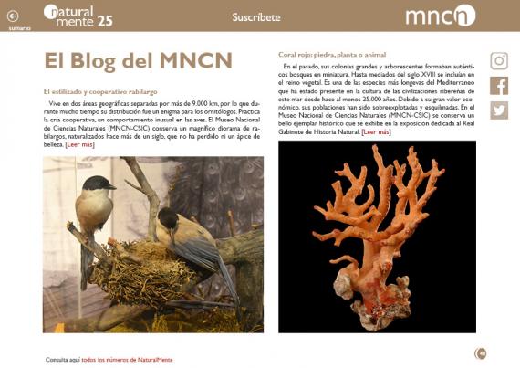 blog del mncn nm25