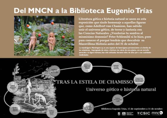 Portada del artículo "Del MNCN a la Biblioteca Eugenio Trías " de la revista NaturalMente nº 11