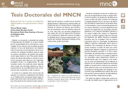 Portada de la sección "Tesis doctorales del MNCN" de la revista NaturalMente nº 12