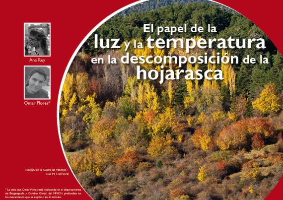 Portada del artículo "El papel de la luz y la temperatura en la descomposición de la hojarasca" de la revista NaturalMente nº 12