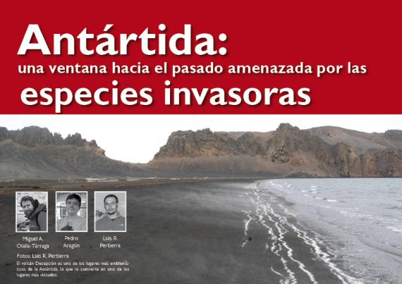 Antártida y especies invasoras