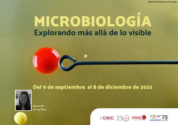 Exposición microbiología 