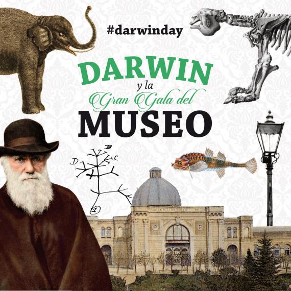 Diseño promocional del evento 'Darwin y la Gran Gala del Museo' / Alfonso Nombela