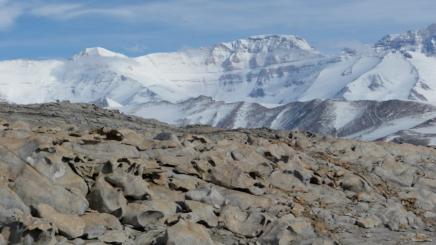 Valles Secos de McMurdo, una de las zonas muestreadas por los investigadores y uno de los mayores desiertos hiperáridos del planeta