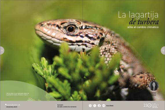 Portada del artículo
