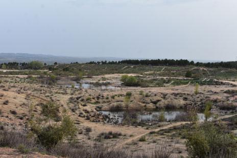 Imagen de una cantera, zona con agua rodeada de vegetación arbustiva
