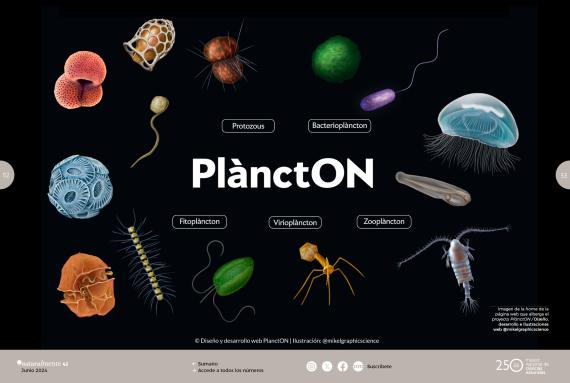 Plancton  Motor de vida del  planeta océano