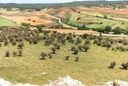 Ejemplo de paisaje rural que refleja el mosaico de cultivos en el Nordeste de Segovia/ Zape fotografo